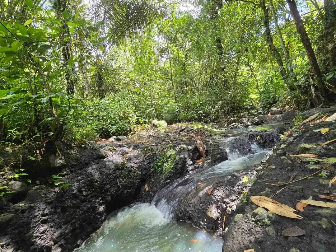 Dijual tanah murah los sungai air jernih di bali - Image 3 of 10