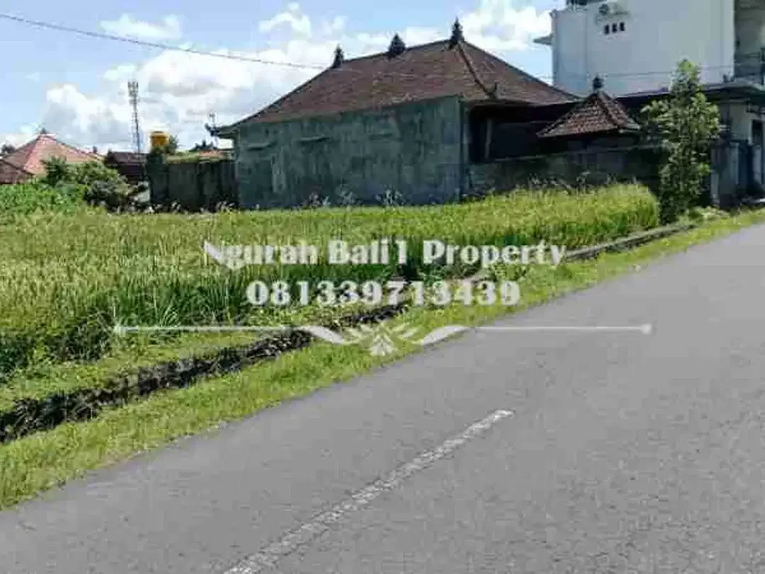Tanah Dijual Murah Luas 9 Are Lokasi Singapadu Kaler Ubud - Image 2 of 4