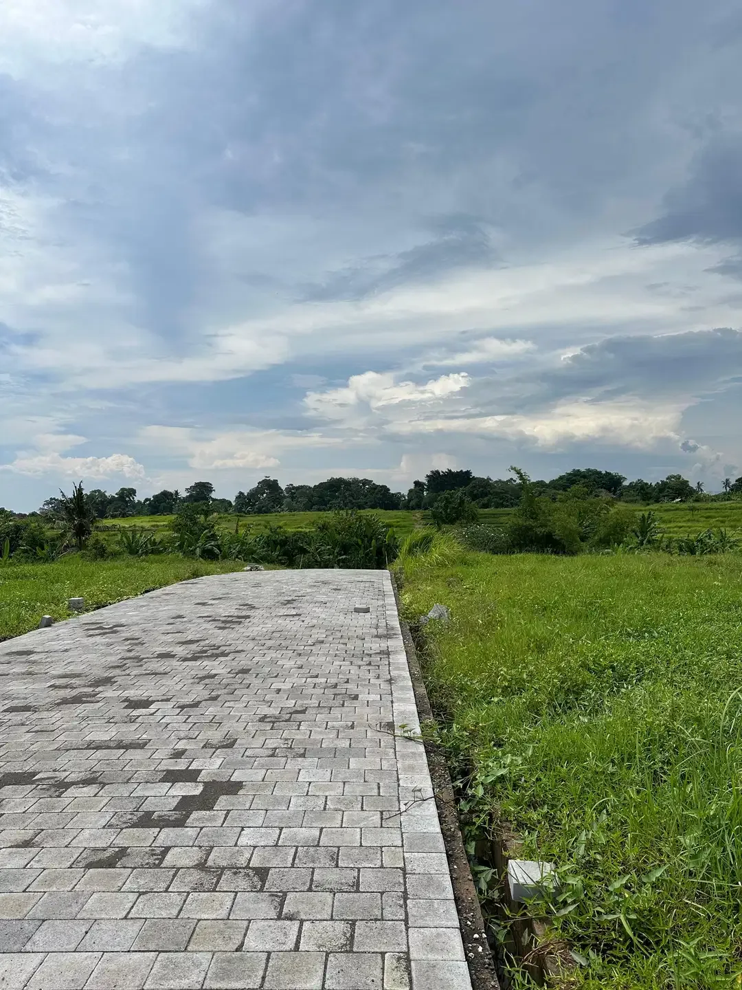 KEDUNGU LAND FOR SALE NEAR NUANU LUNA BEACH CLUB - Image 6 of 10