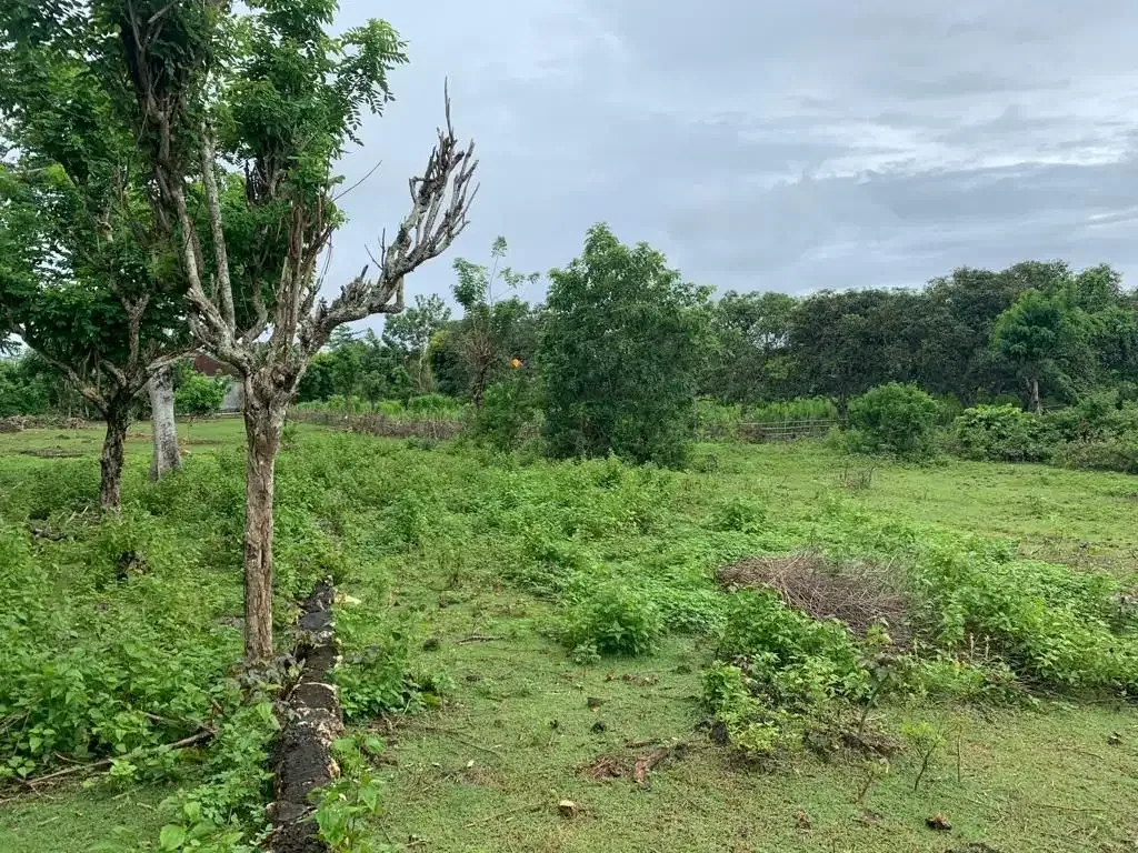 Dijual Tanah Dekat Pantai Balangan - Image 4 of 8