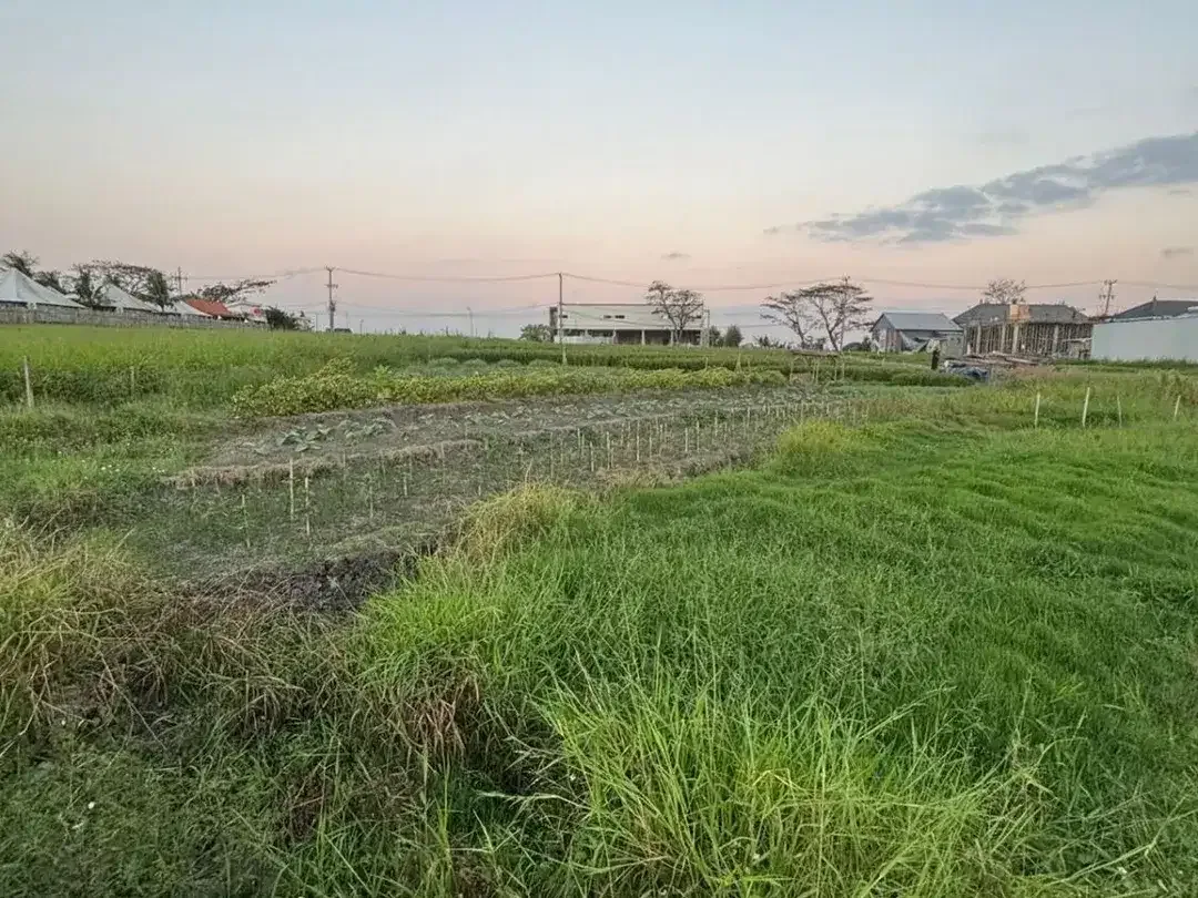 TANAH KOSONG DI SESEH BADUNG DEKAT PANTAI SESEH - Image 4 of 6
