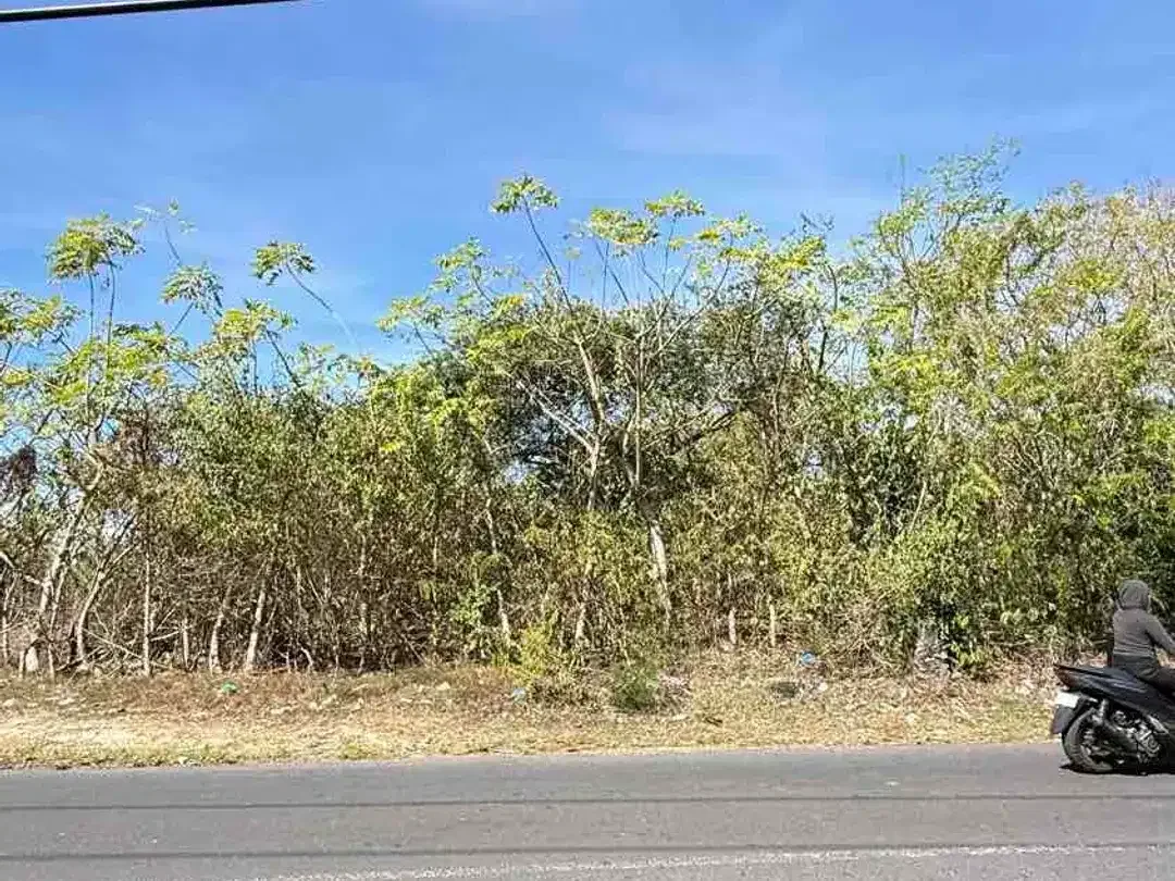 DIJUAL TANAH STRATEGIS DI DEPAN i-Villa GOA GONG – UNGASAN, BALI - Image 9 of 10
