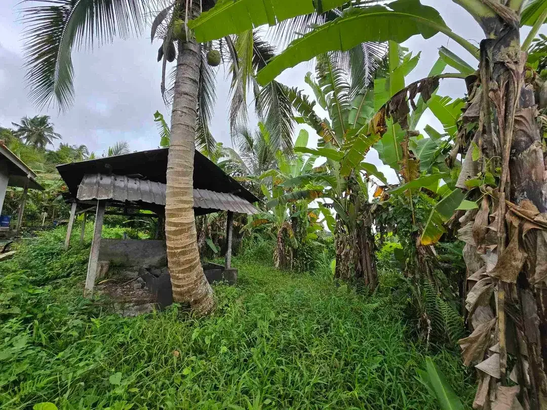 Dijual tanah kecil view sawah terasering di tabanan bali - Image 5 of 10