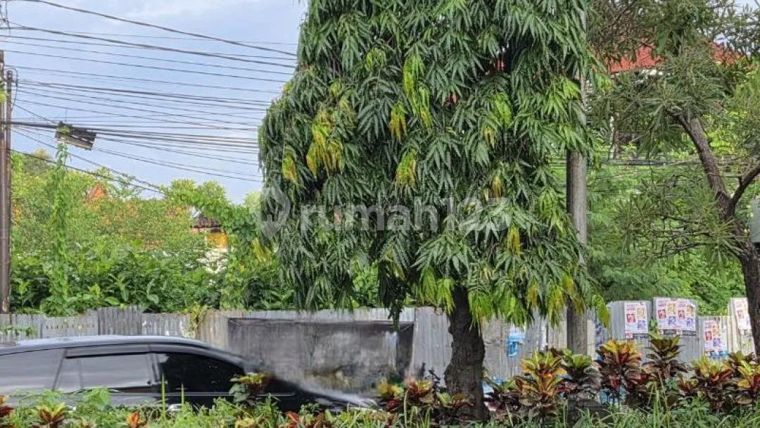 Tanah Kavling Premium Bypass Ngurah Rai Sanur Denpasar Bali - Image 3 of 4