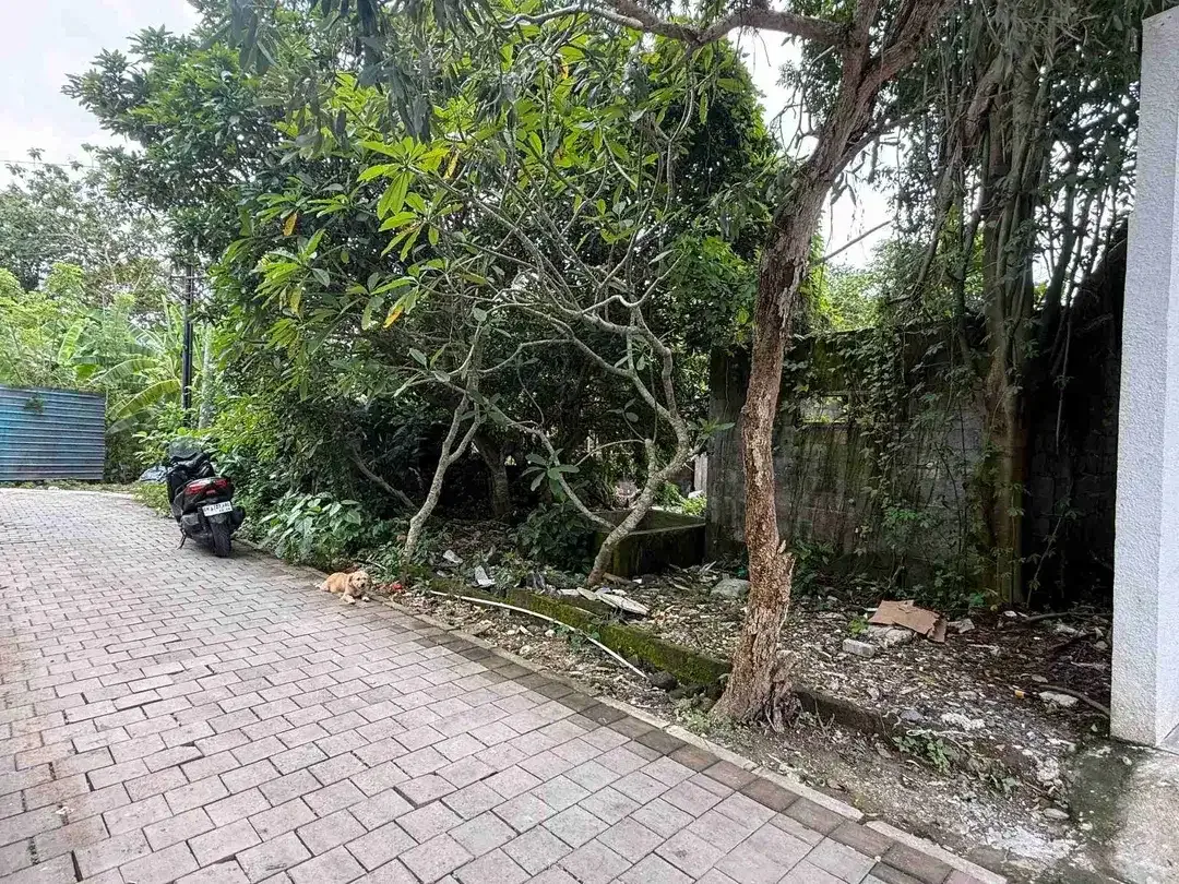 Tanah 500m² Dekat Kampus Udayana Jimbaran - Image 7 of 10