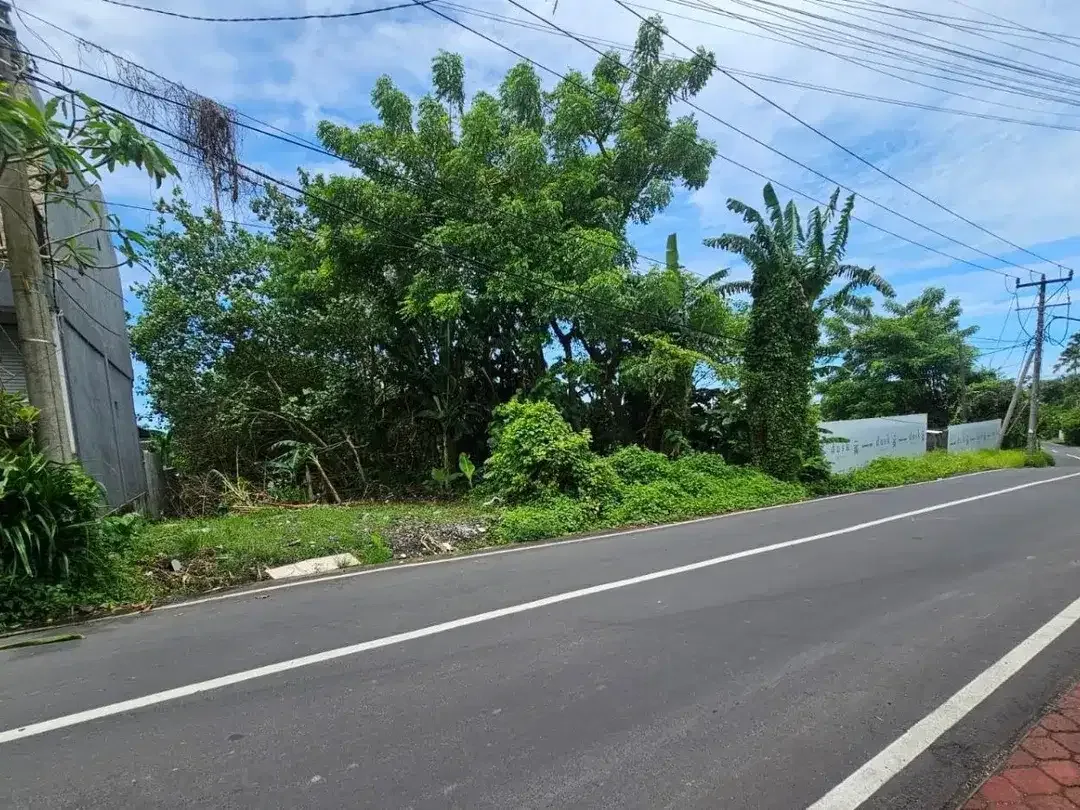 Tanah Tiying Tutul Pererenan Canggu Badung - Image 1 of 7