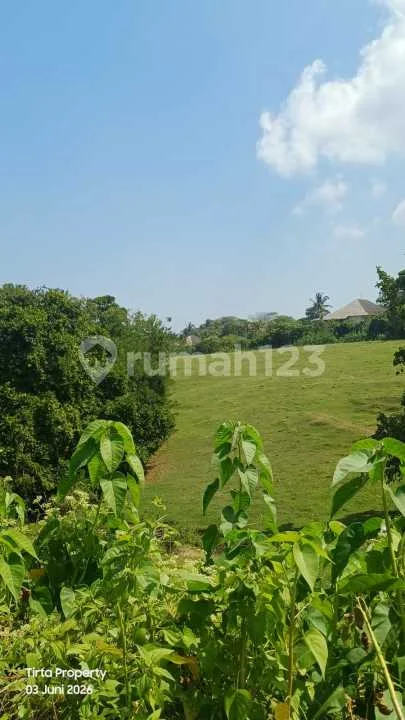Tanah, SHM, Dekat Pantai, di Selemadeg Barat - Image 2 of 4
