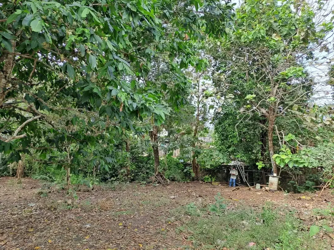 Tanah Murah dekat area Kampus Udayana Jimbaran - Image 8 of 9