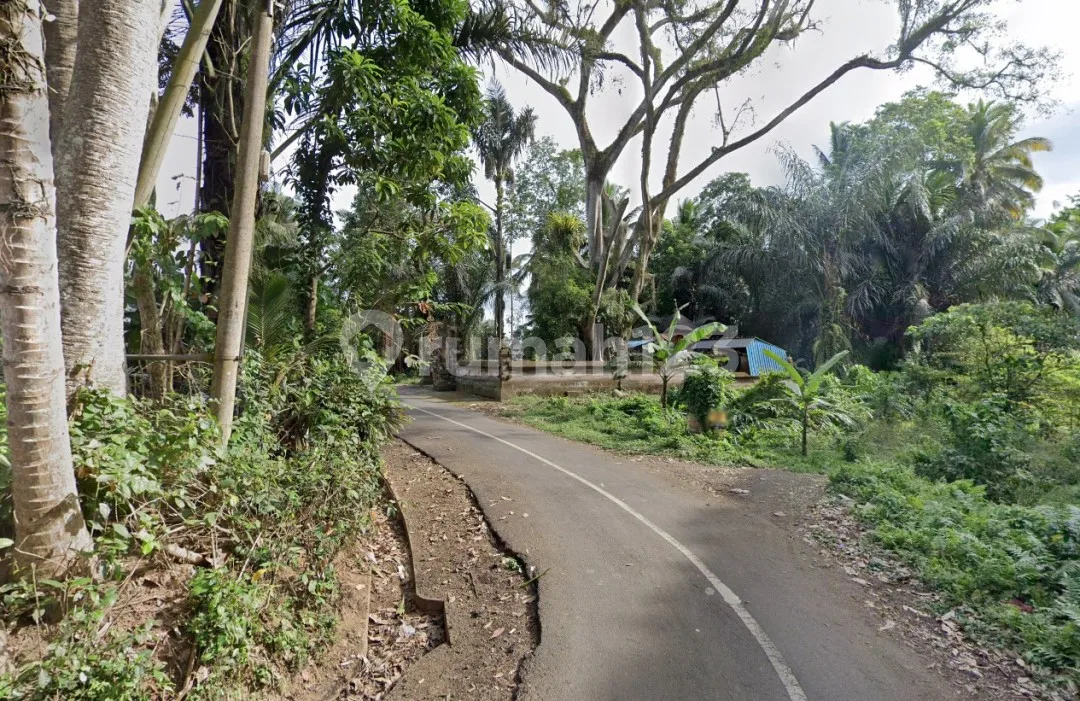 Tanah Freehold Potensial Dekat Sungai | Sangeh - Abiansemal - Image 3 of 4