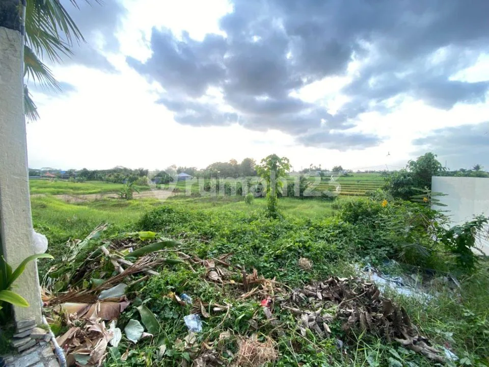 Tanah 7 Are View Sawah Abadi di Pantai Nyanyi Tabanan Dekat ke Pantai Area Villa Zona Kuning - Image 3 of 4