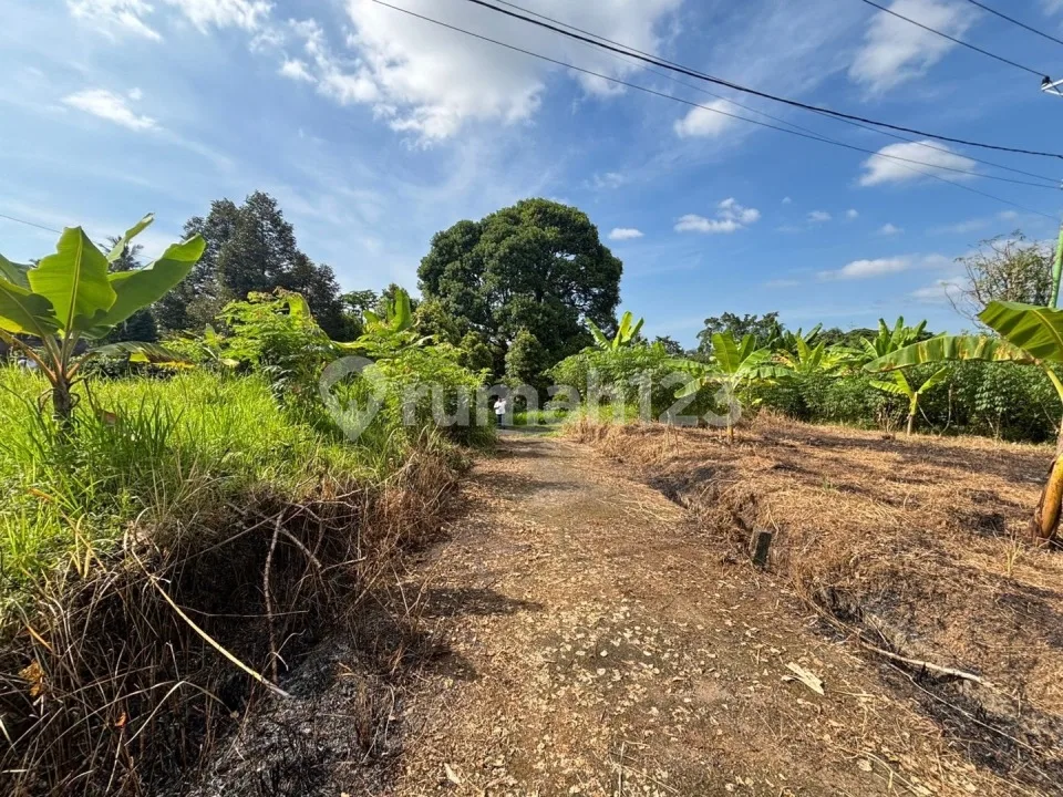 Tanah Kavling Kawasan Asri Buleleng (Zp-00088) - Image 3 of 4
