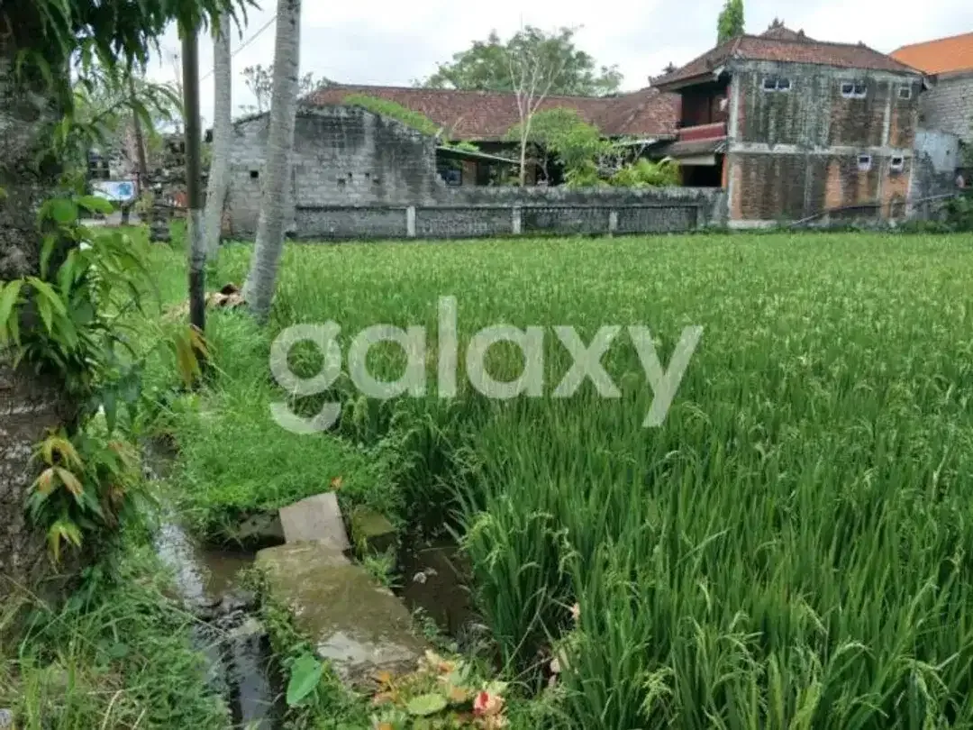 TANAH DEKAT KAWASAN WISATA DI MAS KEMENUH GIANYAR, BALI - Image 2 of 5