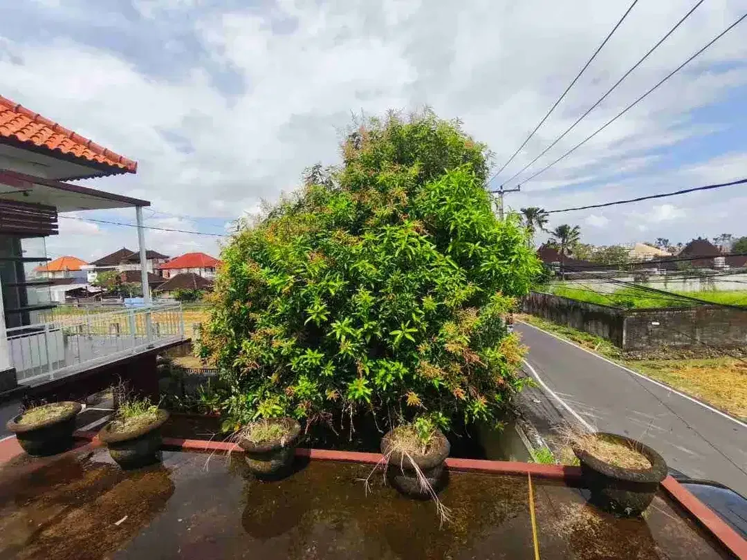 Rumah View Sawah Full Furnished Gunung Salak Kerobokan 2 Lantai - Image 4 of 10