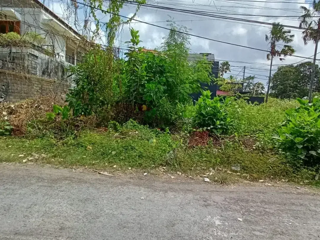 Freehold - Rare Opportunity Land in Strategic Location Seminyak - Image 4 of 6