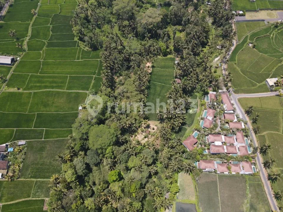 Dijual Tanah Tegallalang Ubud - Image 1 of 4