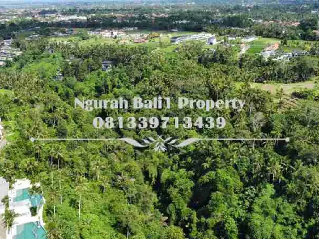 Over Kontrak  Luas Tanah 69,38 Are View Jungle dan Tebing di Ubud - Image 7 of 7