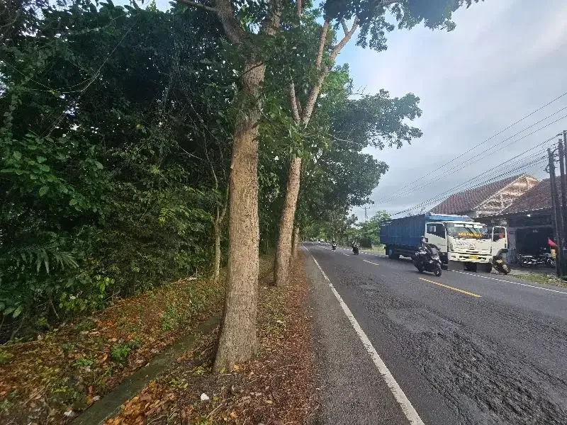 DI jual tanah datar  pruntukan industri di jembrana bali - Image 2 of 8