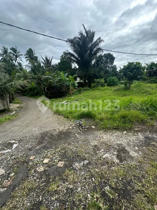 Tanah Murah Abiansemal Dekat Ubud Denpasar dan Tabanan - Image 4 of 4