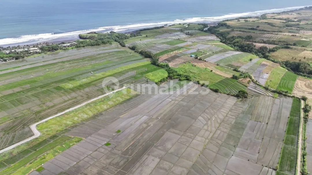 Tanah Kavling 500 M2 SHM Kelating Tabanan - Image 2 of 4