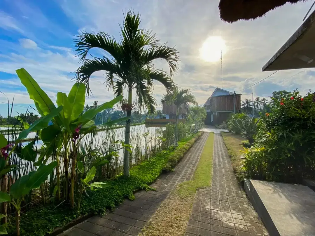 FOR SALE FREEHOLD VILLA KOMPLEKS LOCATED AT STRATEGIC AREA IN UBUD - Image 4 of 9