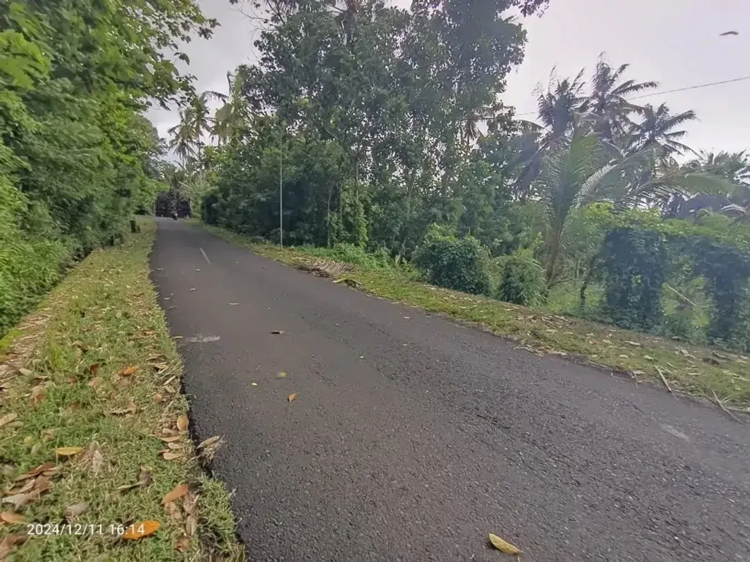 Tanah Zona Kuning Tidak LSD di Mambang Tabanan Bali - Image 1 of 3