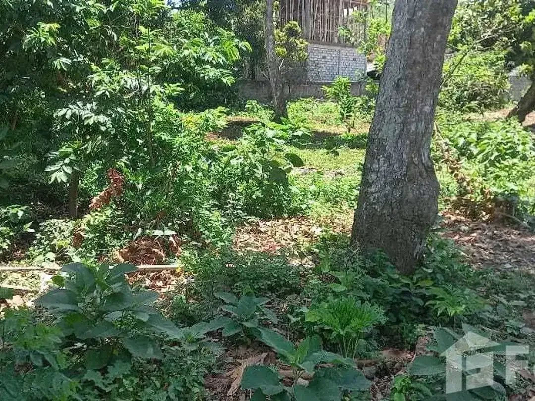 Land for sale in Pecatu, Bali - Image 2 of 3