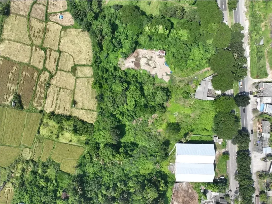 Land for Sale in Keramas, Gianyar – Strategic Investment Opportunity - Image 4 of 4