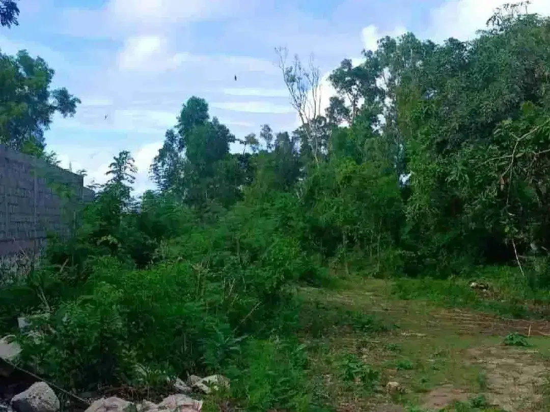 Tanah Sewa Pecatu dkt Pantai Bingin dan Uluwatu Kuta Selatan - Image 1 of 10
