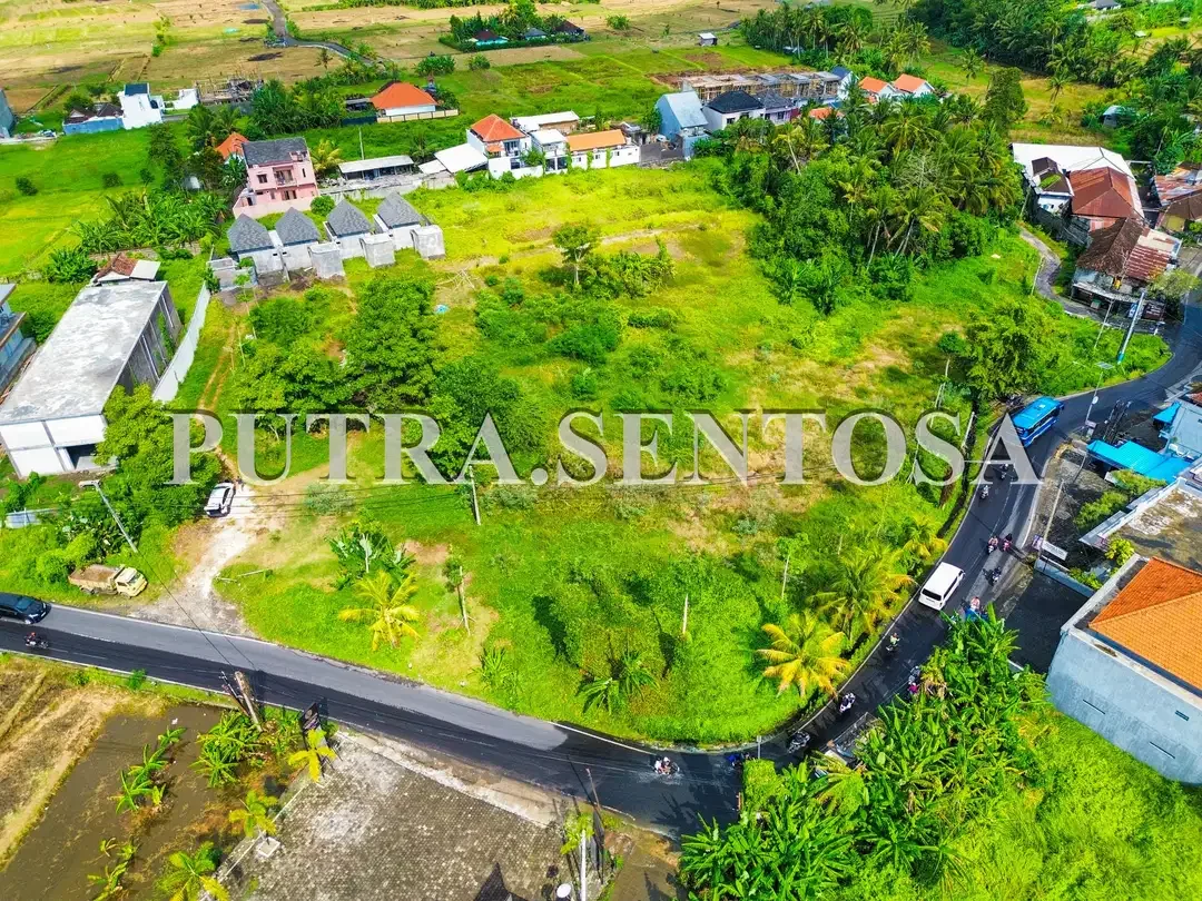 LAND FOR LEASE MAIN ROAD CANGGU NYANYI - Image 3 of 10