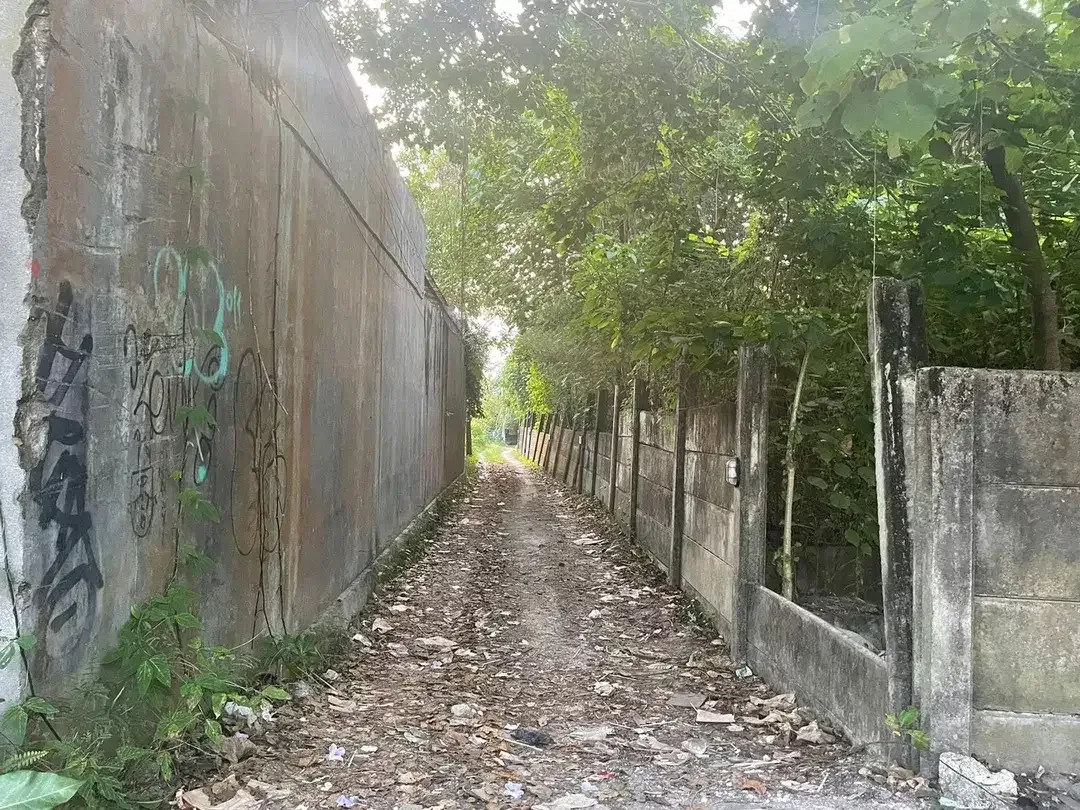 Freehold-Rare Strategic Freehold Land in heart of Canggu, Berawa - Image 3 of 5
