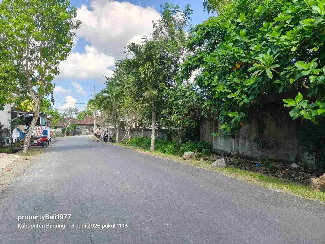Tanah 435m2 jln Utama Uma buluh kayu tulang canggu - Image 4 of 7