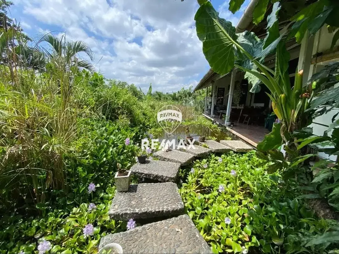 DIJUAL MURAH TANAH DAN BANGUNAN DI DAERAH CANGGU BALI - Image 2 of 4