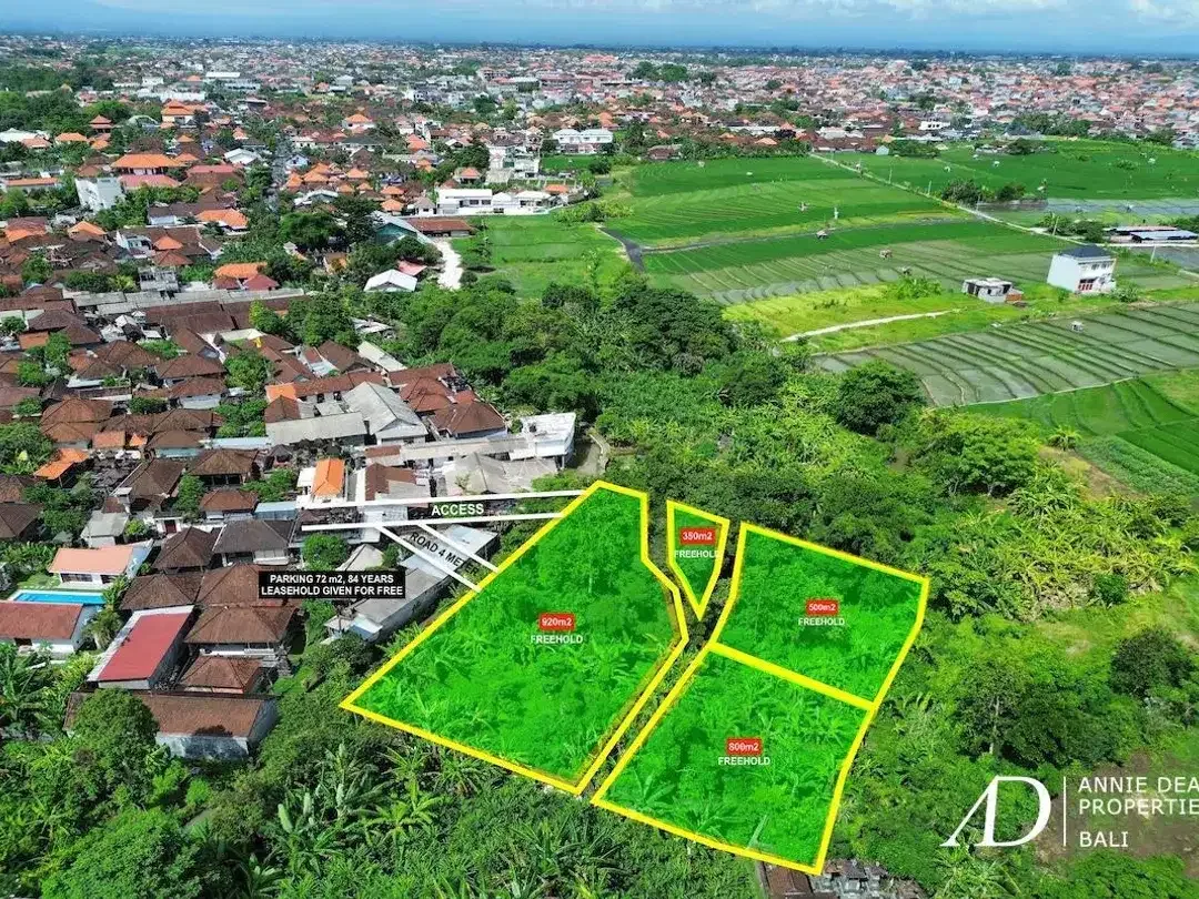 FREEHOLD & LEASEHOLD LAND OPPORTUNITY IN PADONAN - CANGGU - Image 4 of 10
