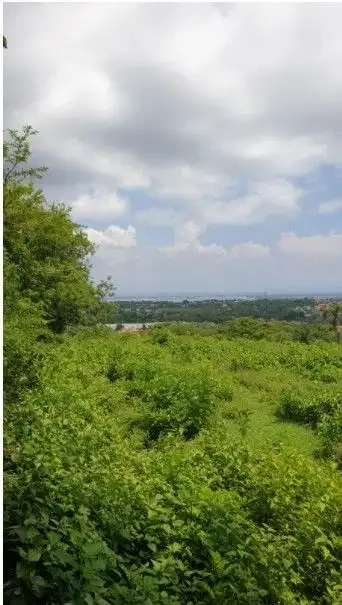 Tanah Murah View Laut dan Airport Jl Ocean Blue Nusa Dua Bali - Image 2 of 10