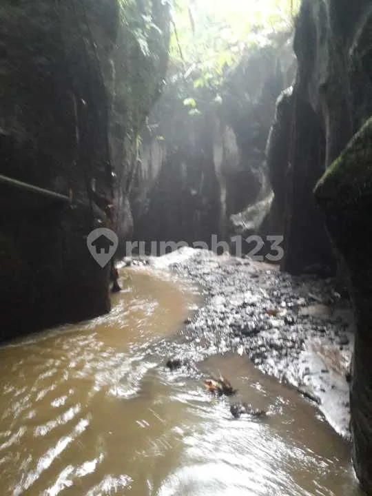 Dijual Murah Tanah 2,4 Ha Tepi Sungai di Payangan Gianyar Dekat Central Ubud Bali - Image 2 of 4
