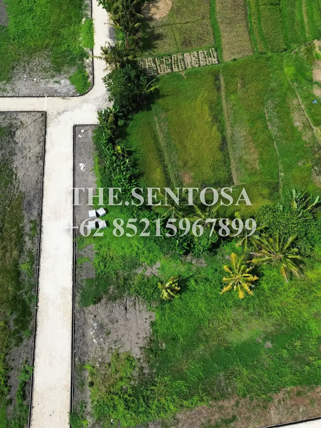 TANAH LUNA BEACH CLUB KEDUNGU - Image 4 of 10