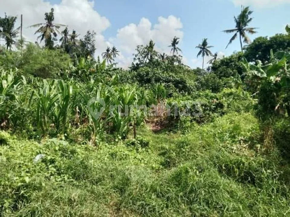 Tanah 180MÂ² Darmasaba Badung - Image 4 of 4