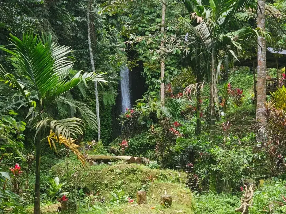 jungle river side - Image 7 of 10