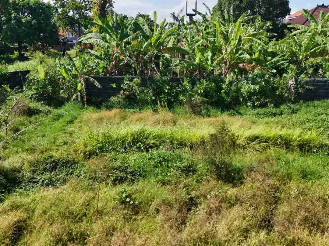Tanah Komersial Umalas View Sawah Area Villa Premium Kerobokan - Image 8 of 10
