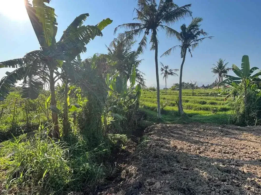 Dijual Tanah Super BUC 200 Meter Dari Pantai Kedungu - Image 7 of 7