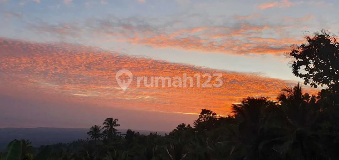 For Sale Fendal Ocean View Villa 3 Bedroom In Lovina With Fantastic View - Image 3 of 4