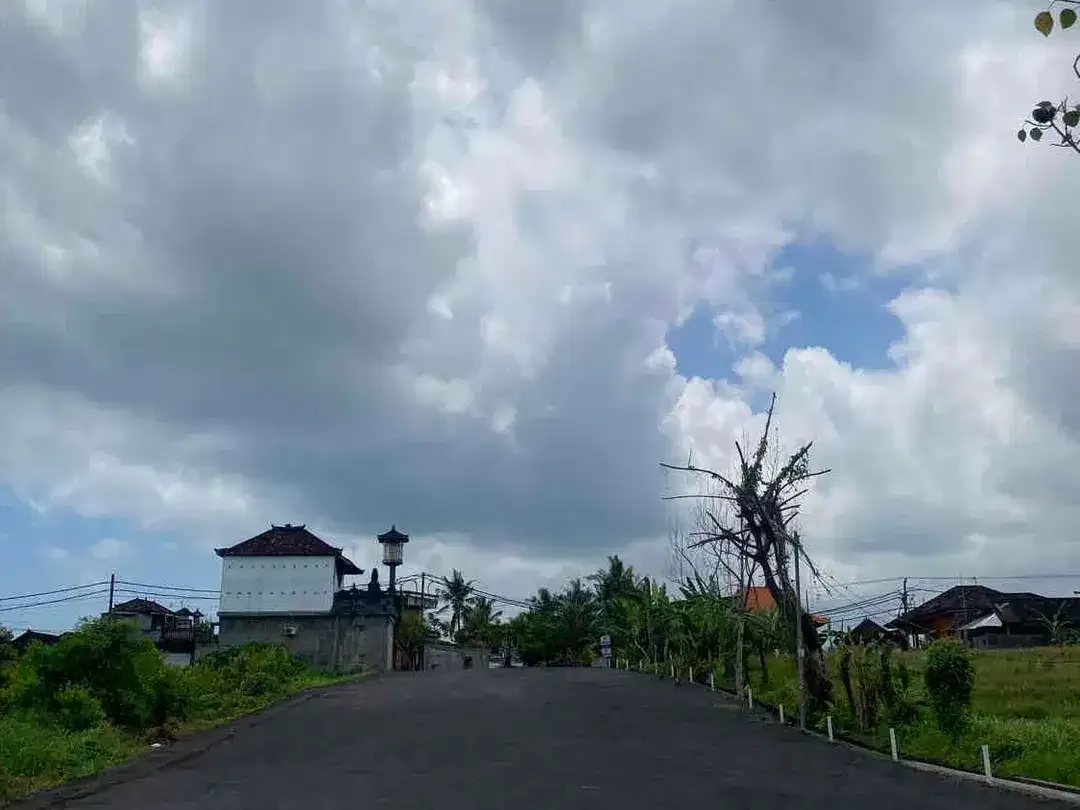 Dijual Tanah Premium 343m2 SHM Pink Zone Dekat Pantai Tanah Lot Bali dan dekat akses jalan lebar - Image 4 of 9