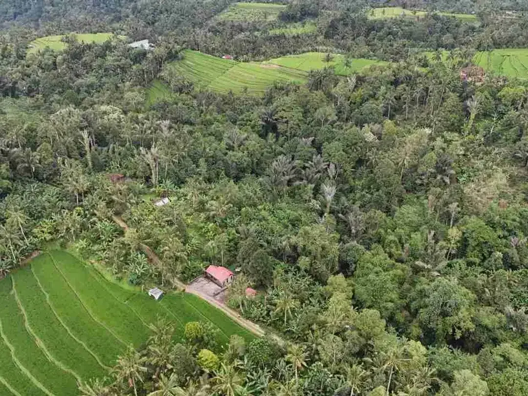 jual tanah kebun view sawah, gunung dan los sungai cantik di tabanan bali. - Image 6 of 10