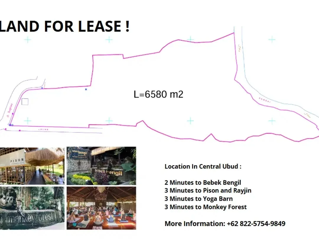 Land For Lease In Central Ubud - Image 7 of 7