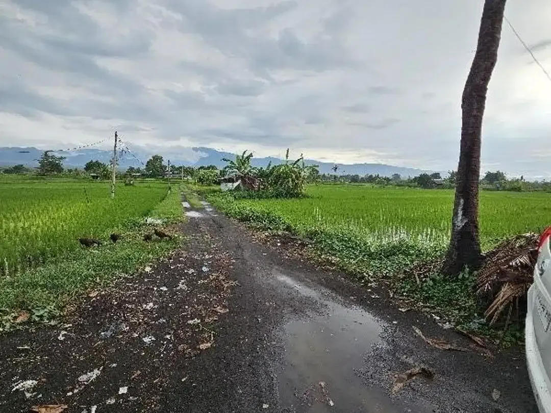 Land for sale beach front at north Bali - Image 8 of 10