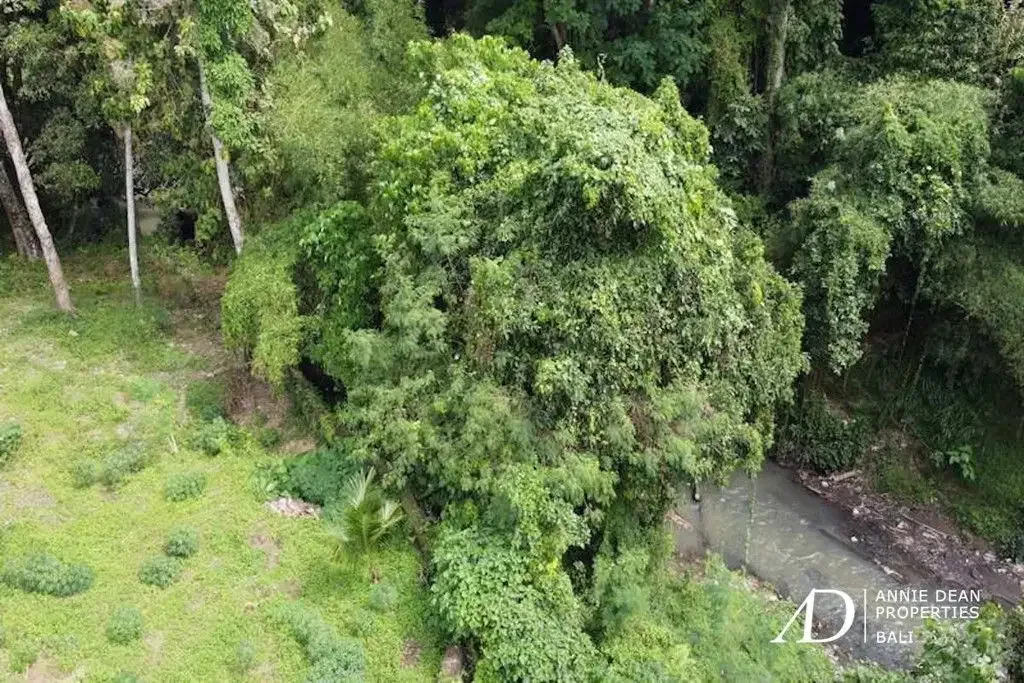 FREEHOLD RIVERFRONT LAND WITH JUNGLE VIEWS - PRIME INVESTMENT IN CEPAKA - Image 5 of 5