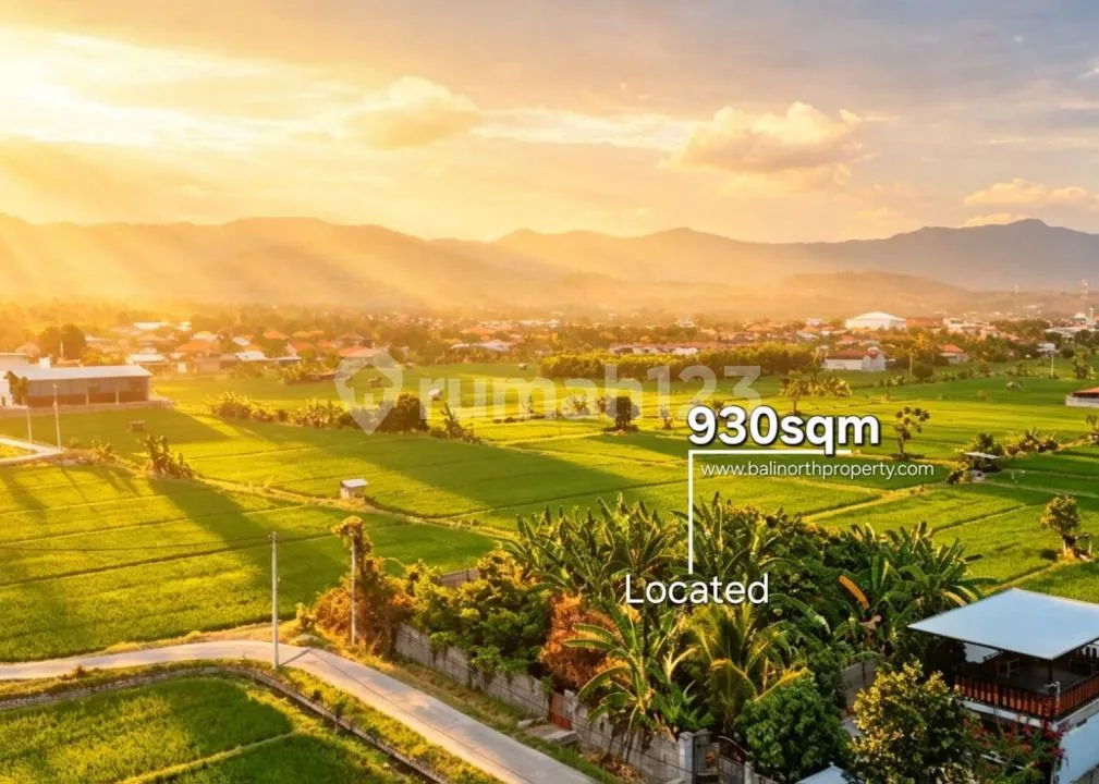 Exclusive Land For Sale In Lovina Area North Bali - Image 4 of 4