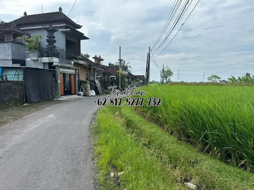 Disewakan Tanah Zona Kuning di Kaba Kaba Tabanan (minimal ambil 10 are) - LLWY - Image 6 of 6