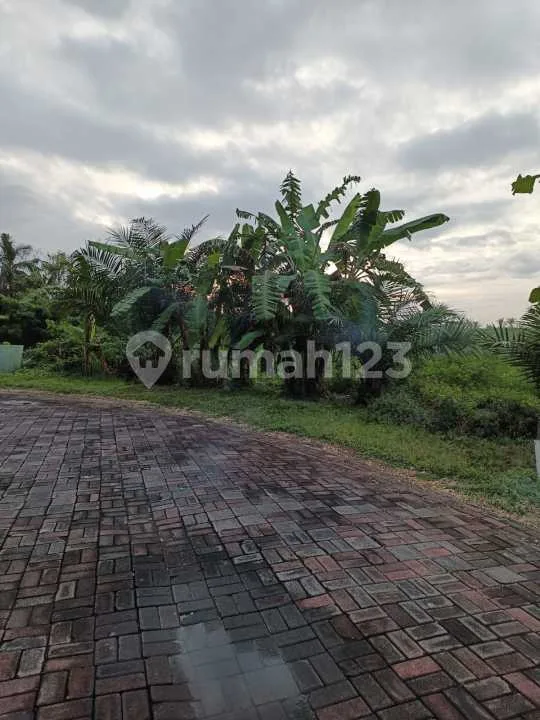 Flash Sale Drop 4.5Jt/M2 - Cocok Dibangun Villa Kavling Siap Bangun Greenlot Residence Munggu Bali 11 Are SHM River View - Image 4 of 4