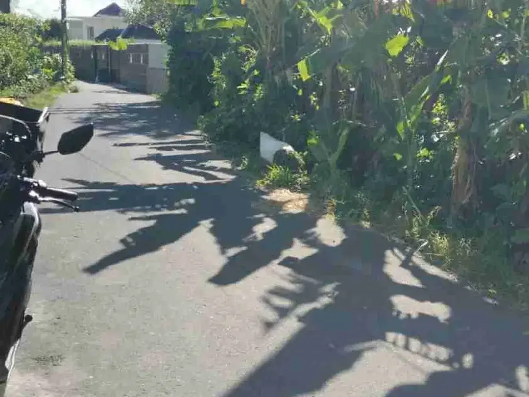Di jual tanah bagus di pererenan cocok untuk di bangun villa dan hujan lain nya lingkungan bersih dan view sawah - Image 3 of 5